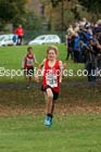 Boys under-13s Northern Cross Country Relays, Graves Park, Sheffield. Photo: David T. Hewitson/Sports for All Pics